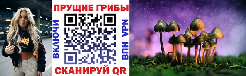 Купить закладки  Усть-Катав  Псилоцибиновые грибы GOLDEN TEACHER 