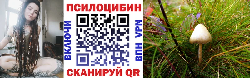 Галлюциногенные грибы мухоморы Усть-Катав